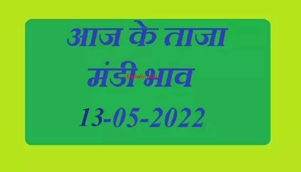 Today Mandi Bhav:13 मई 2022 को&nbsp;धान, सरसों, गेहूं, नरमा, ग्वार, जौ के मुख्य मंडियों के आज के ताजा भाव