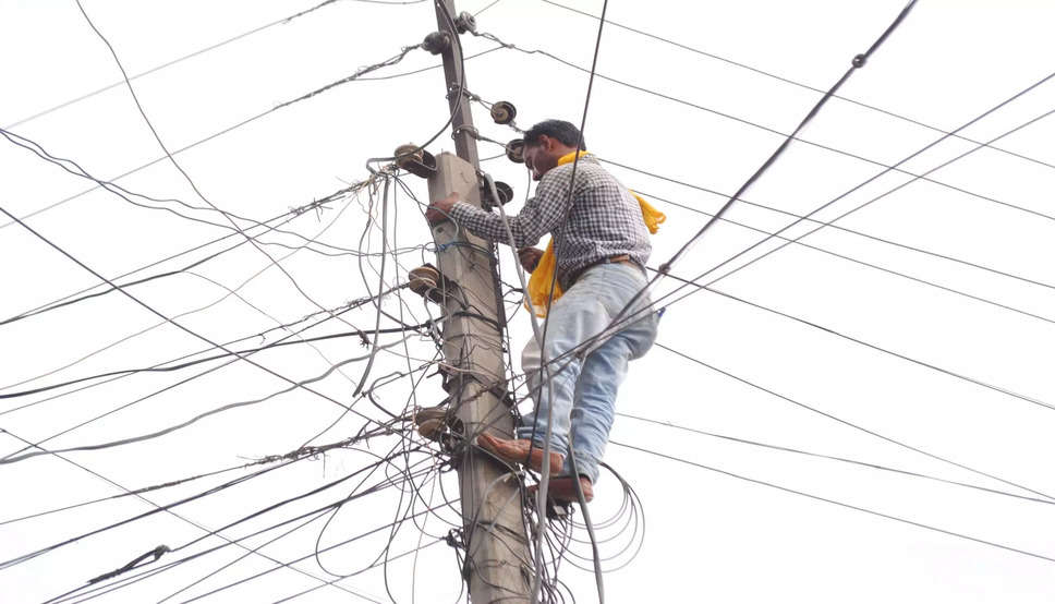 हरियाणा बिजली विभाग में डीसी रेट पर निकली नौकरी, देखें कौनसे जिले में कितनी है पोस्ट ?