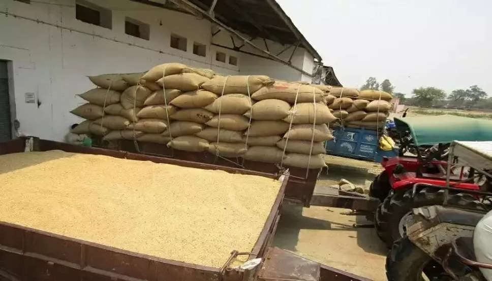 Wheat Export Update:&nbsp;गेहूं के निर्यात पर सरकार का यू-टर्न, निर्यात पर लगाया तत्काल प्रभाव से&nbsp;प्रतिबंध; बताई ये वजह