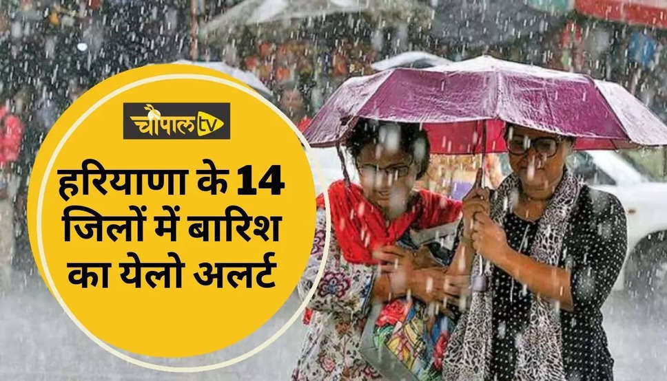 Haryana Weather Alert: हरियाणा के 14 जिलों में बारिश का येलो अलर्ट, देखिये कब तक होगी बारिश ?