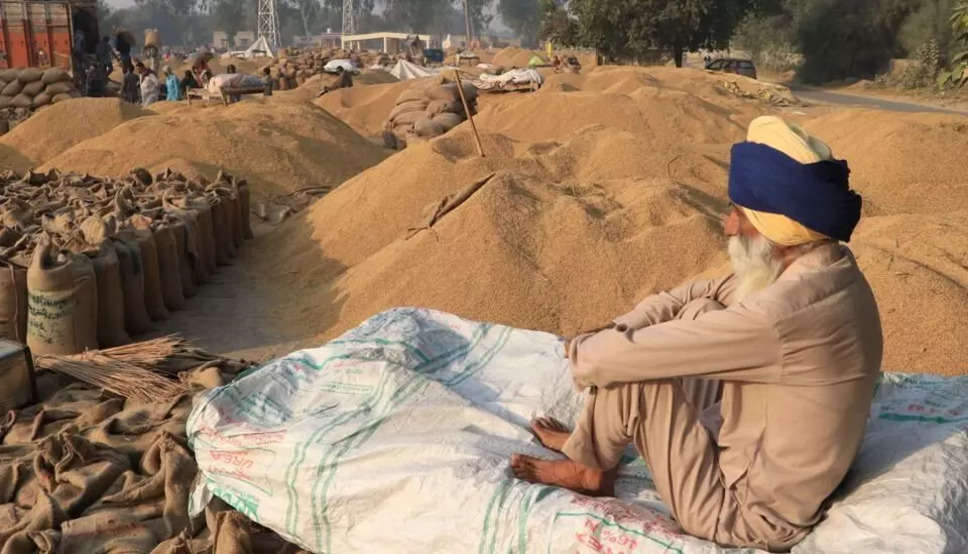 Haryana Rajasthan Mandi Taja Bhav- कृषि मंडियों में आज ग्वार, धान, कपास, मूंग, मोठ, मूंगफली के हाजिर भाव