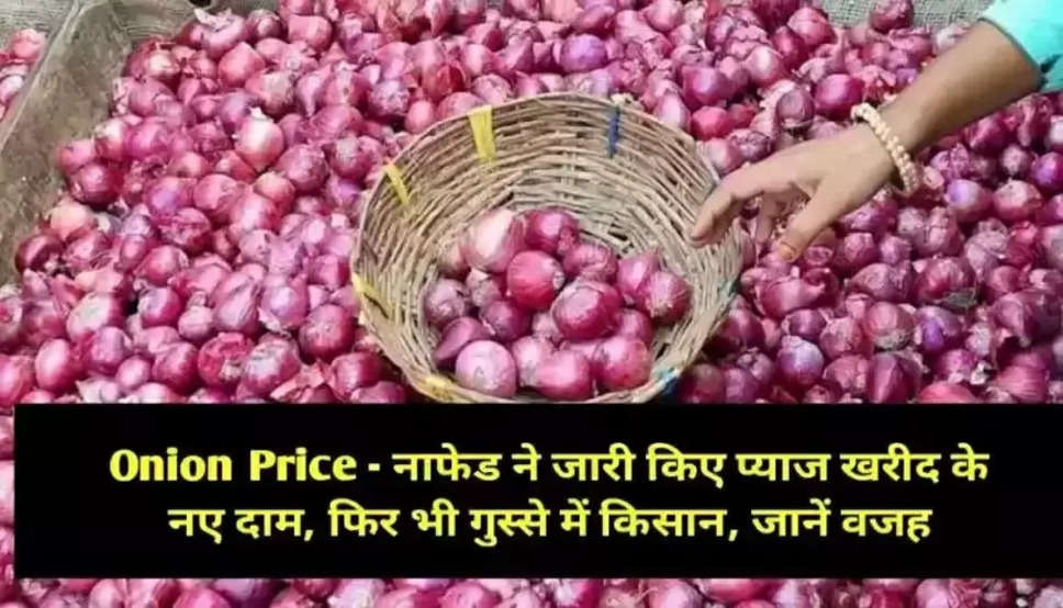 Onion Price: नाफेड ने महाराष्ट्र में प्याज खरीद के लिए जारी किया नया रेट, इसके बावजूद क्यों गुस्से में हैं किसान? जानें वजह