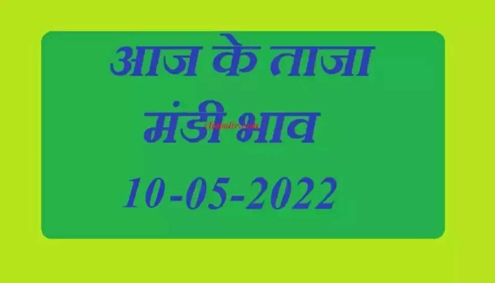 Today Mandi Bhav, 10 May 2022: राजस्थान की मुख्य मंडियों के भाव की जानकारी