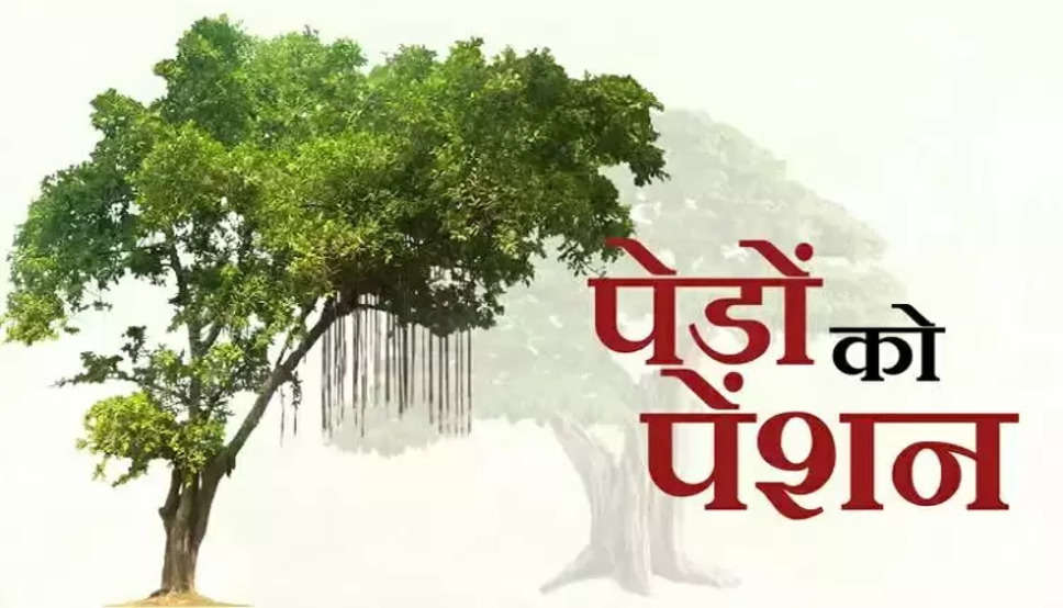 Haryana Pension: हरियाणा में अब बुजुर्ग पेड़ों को मिलेंगी पेंशन, जानिये क्या है योजना ?