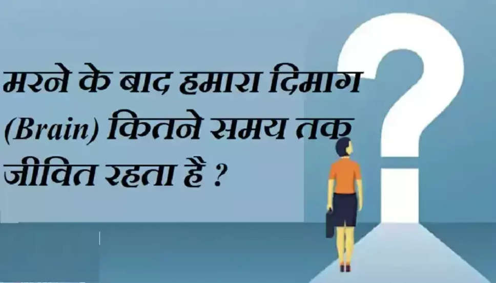 मरने के बाद हमारा दिमाग (Brain) कितने समय तक जीवित रहता है ? जाने UPSC Interview मे पूछे जाने वाले इस तरह के सवाल-जवाब