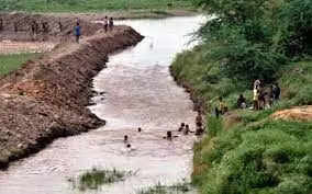 Ghaghar River Pollution : इंसानी नसों में जहर घोल रही हरियाणा की यह नदी ...