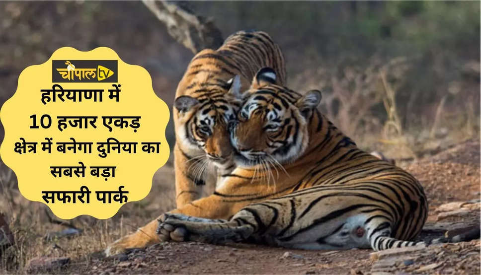 Haryana Tiger Safari Project: हरियाणा में 10 हजार एकड़ क्षेत्र में बनेगा दुनिया का सबसे बड़ा सफारी पार्क