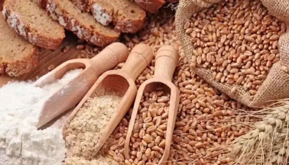 Wheat Price Down: बड़ी खबर, अगले 10 दिन में कम हो सकती है गेहूं की कीमत! सरकार ने दी जानकारी