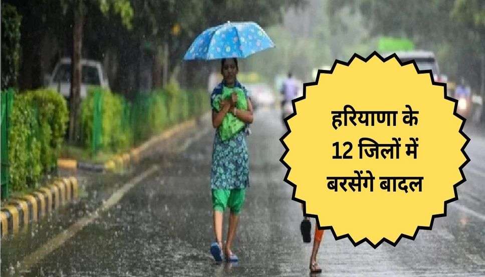  Haryana Weather Alert: हरियाणा के 12 जिलों में बरसेंगे बादल, IMD ने बारिश और तूफान को लेकर जारी किया ऑरेंज अलर्ट 