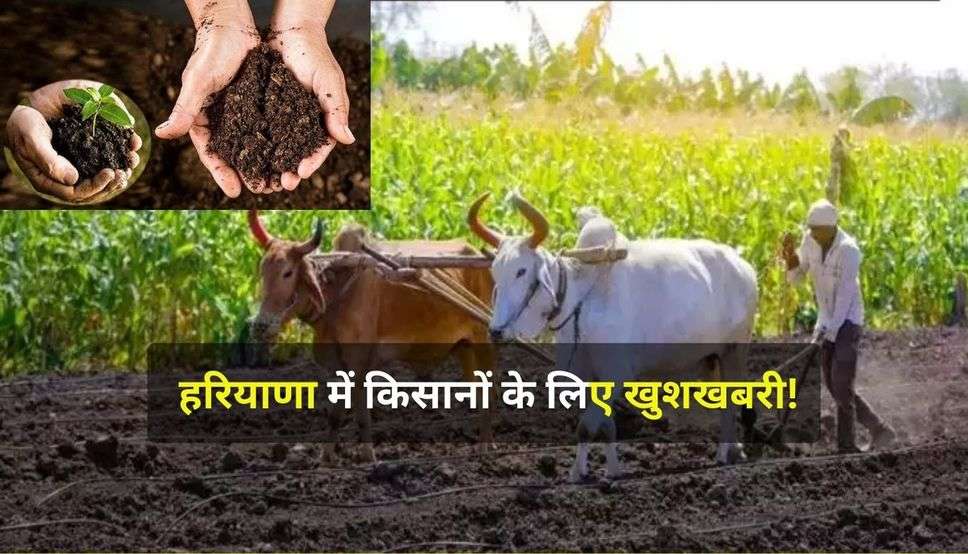 Haryana News: हरियाणा में किसानों के लिए खुशखबरी! गाय के गोबर से बनी खाद पर सब्सिडी का प्लान, पढ़ें पूरी खबर 