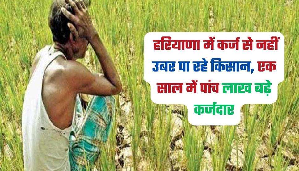Haryana News: हरियाणा में कर्ज से नहीं उबर पा रहे किसान, एक साल में पांच लाख बढ़े कर्जदार, देखें ताजा आंकड़े