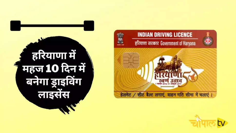 Haryana Driving Licence