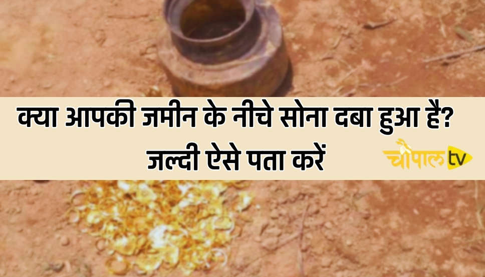  Hindi News: क्या आपकी जमीन के नीचे सोना दबा हुआ है? जल्दी ऐसे पता करें