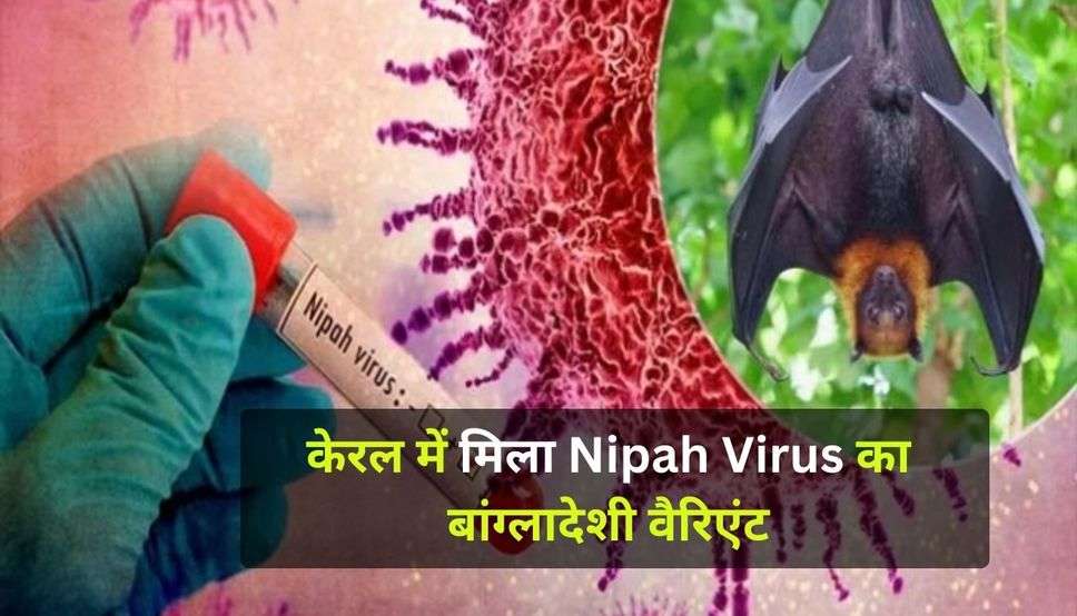 केरल में मिला Nipah Virus का बांग्लादेशी वैरिएंट, प्रदेश में स्कूल-कॉलेज बंद के निर्देश जारी, जानें कितना घातक है ये वायरस