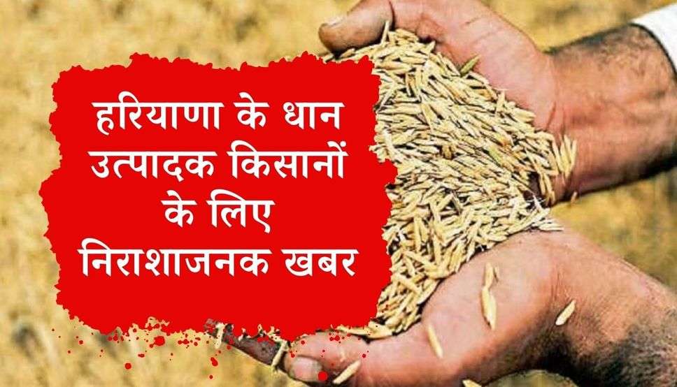 Haryana News: हरियाणा के धान उत्पादक किसानों के लिए निराशाजनक खबर, जानें पूरी खबर 