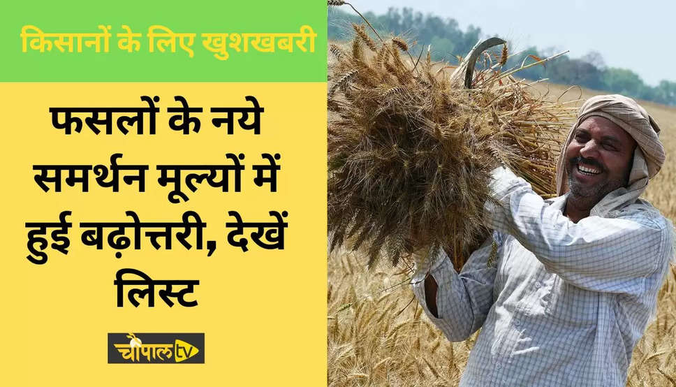 MSP 2023: हरियाणा, राजस्थान समेत सभी किसानों के लिए खुशखबरी, फसलों के नये समर्थन मूल्यों में हुई बढ़ोत्तरी, देखें लिस्ट