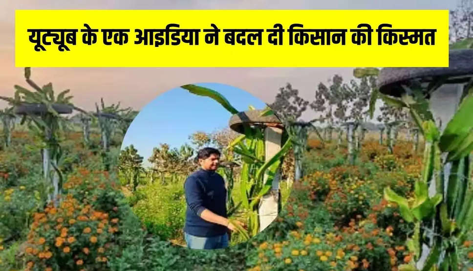 Success Story: यूट्यूब से मिला आइडिया, इस विदेशी फल की खेती ने बना दिया किसान को लखपति