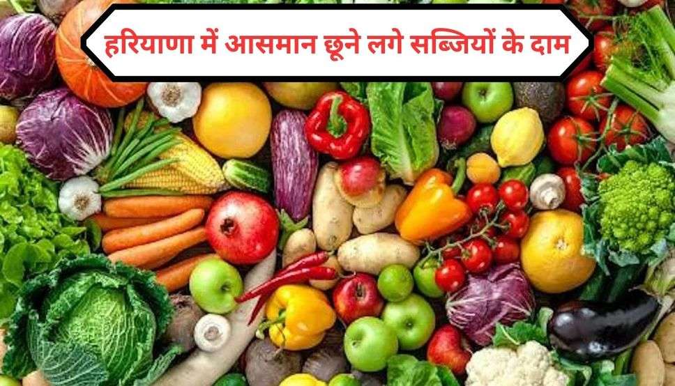  Vegetable Price Hike: हरियाणा में आसमान छूने लगे सब्जियों के दाम, महंगाई से बिगड़ा लोगों के घर का बजट 