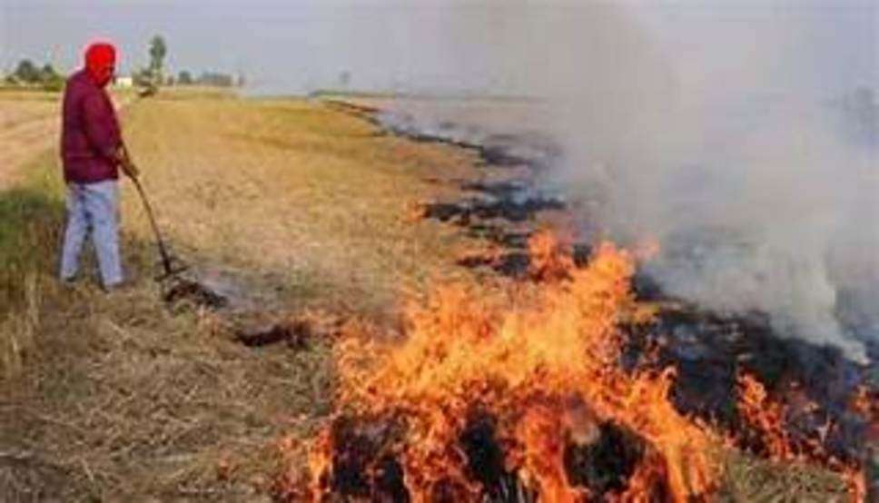  Haryana News: हरियाणा के सिरसा में 28 किसानों पर लगा जुर्माना, ये है वजह 