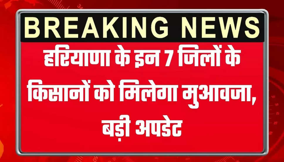 Haryana Ksian हरियाणा के इन 7 जिलों के किसानों को मिलेगा मुआवजा, बड़ी अपडेट