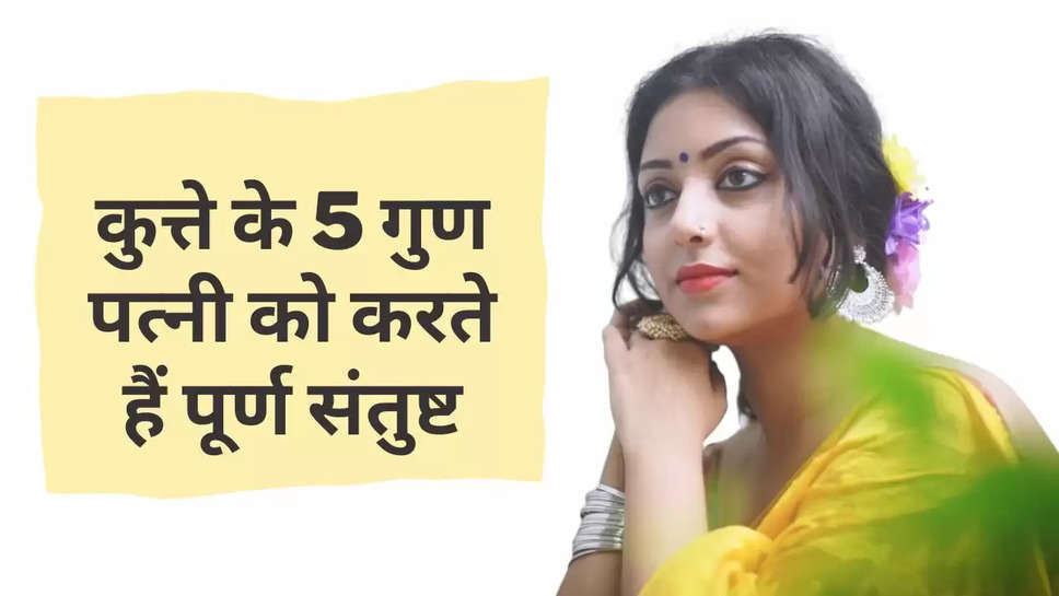 Chankya Niti: जिस पति में कुत्ते के ये 4 गुण होते हैं, उसकी पत्नी हमेशा रहती है संतुष्ट 