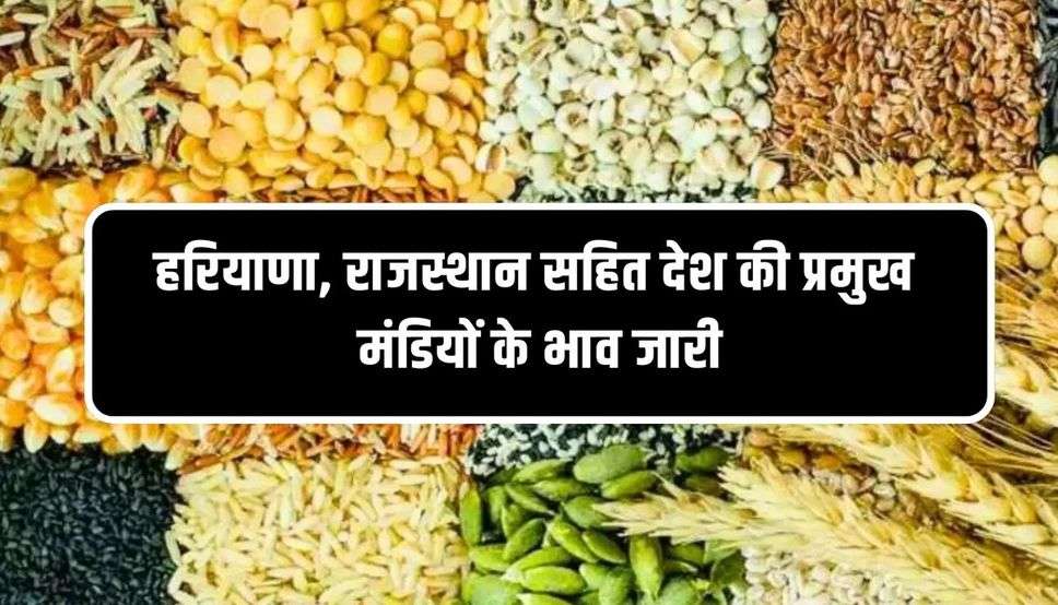 हरियाणा, राजस्थान सहित देश की प्रमुख मंडियों के भाव जारी, जल्दी चेक करें सभी फसलों के नए दाम