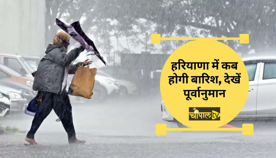 Haryana Rain Weather: हरियाणा में होगी झमाझम बारिश, पश्चिमी विक्षोभ से तर बतर होगी धरती, जानें मौसम विभाग की भविष्यवाणी