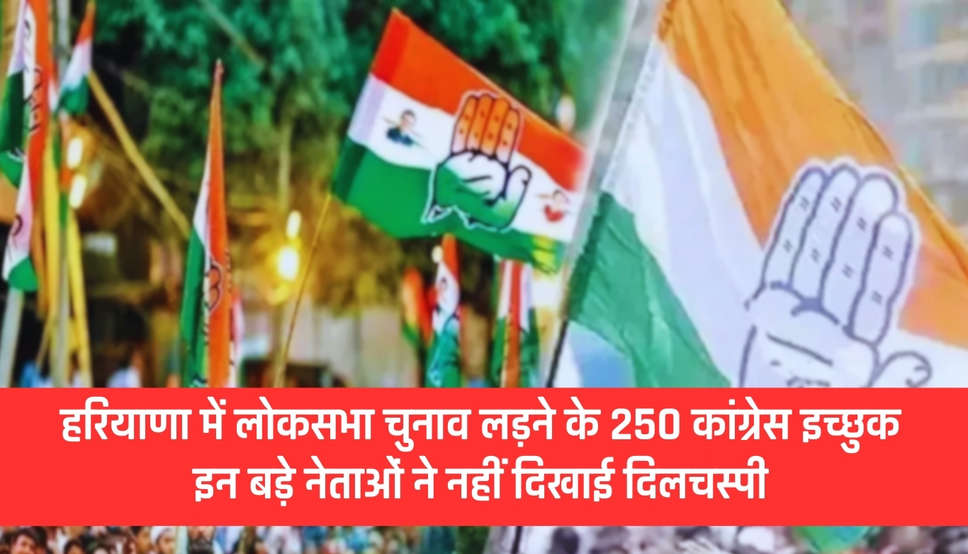 Haryana Congress News: हरियाणा में लोकसभा चुनाव लड़ने के 250 कांग्रेस इच्छुक, इन बड़े नेताओं ने नहीं दिखाई दिलचस्पी, देखें