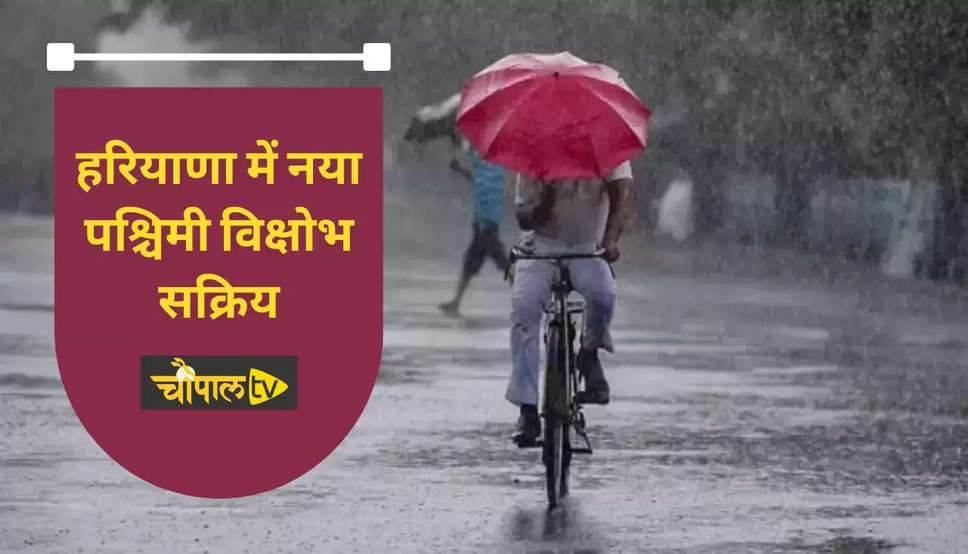 Haryana Weather: हरियाणा में एक और नया पश्चिमी विक्षोभ सक्रिय, जानिये कब तक होगी बारिश ?