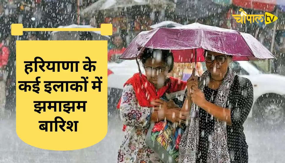 Rain Weather Alert: हरियाणा के कई इलाकों में झमाझम बारिश, पंचकूला-चंडीगढ़-जिरकपुर-अंबाला में बारिश शुरु