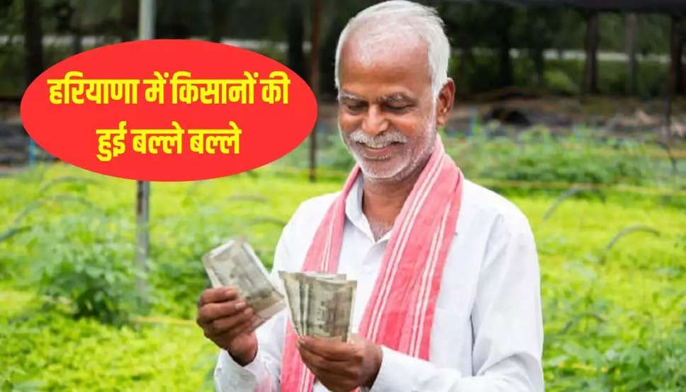  Haryana News: हरियाणा में गेहूं की फसल में पोपलर लगाने को लेकर किसानों की बल्ले बल्ले, मिलेंगे लाखों रुपये