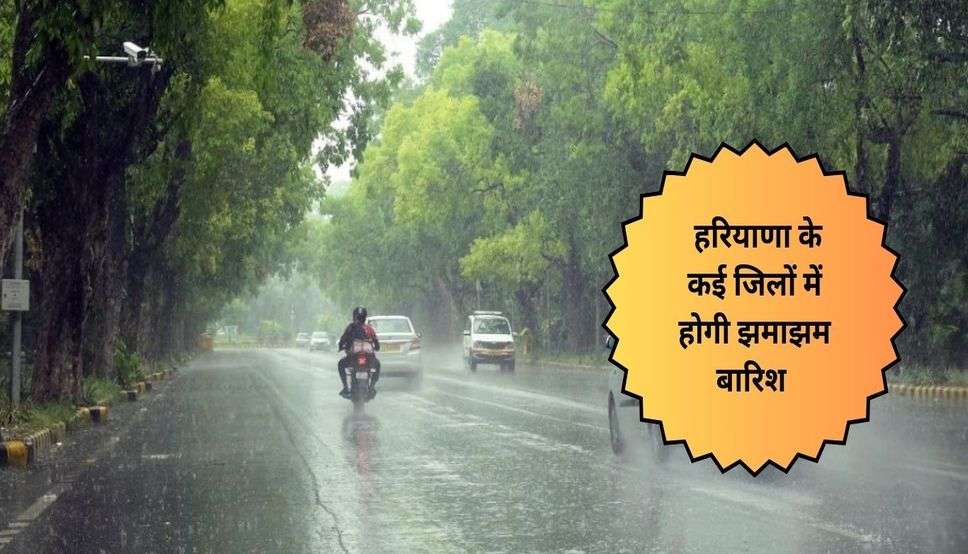  Haryana Weather: हरियाणा के कई जिलों में होगी झमाझम बारिश, अगले तीन दिन तक ऐसा रहेगा मौसम 