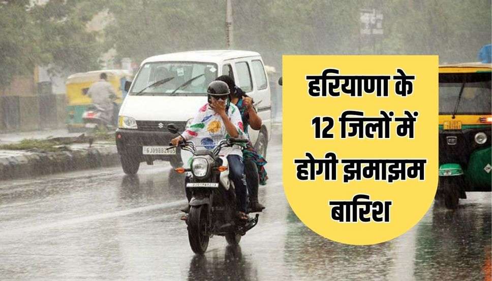 हरियाणा के 12 जिलों में होगी झमाझम बारिश, मॉनसून की हुई एंट्री, देखें मौसम अलर्ट