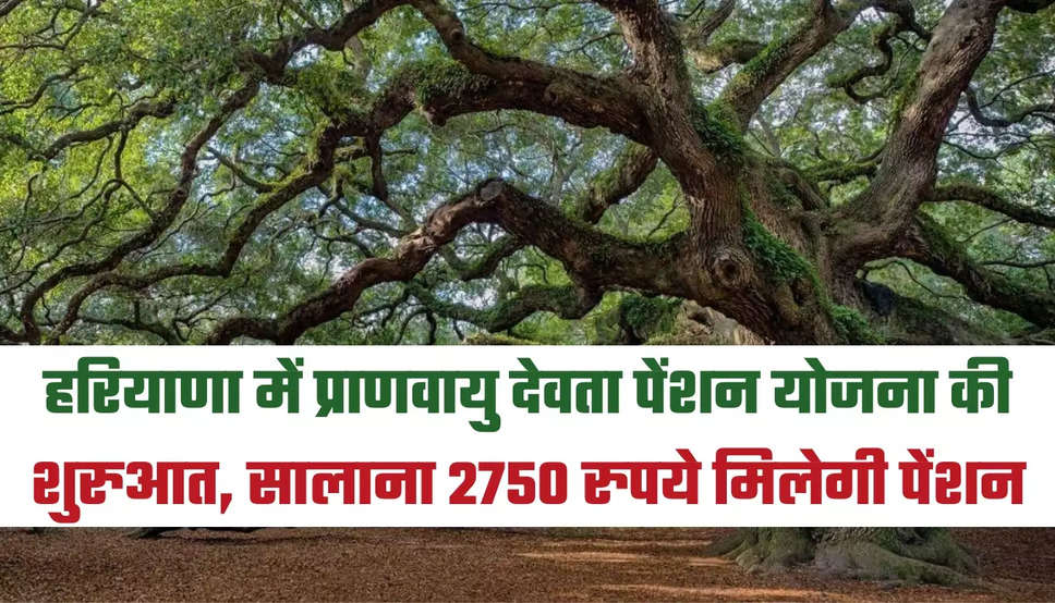 Haryana Pension Scheme: हरियाणा में प्राणवायु देवता पेंशन योजना की शुरुआत, सालाना 2750 रुपये मिलेगी पेंशन