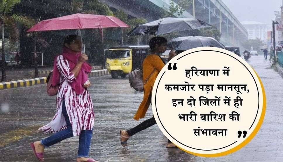 हरियाणा में कमजोर पड़ा मानसून, इन दो जिलों में ही भारी बारिश की संभावना, देखें IMD का ताजा अपडेट    