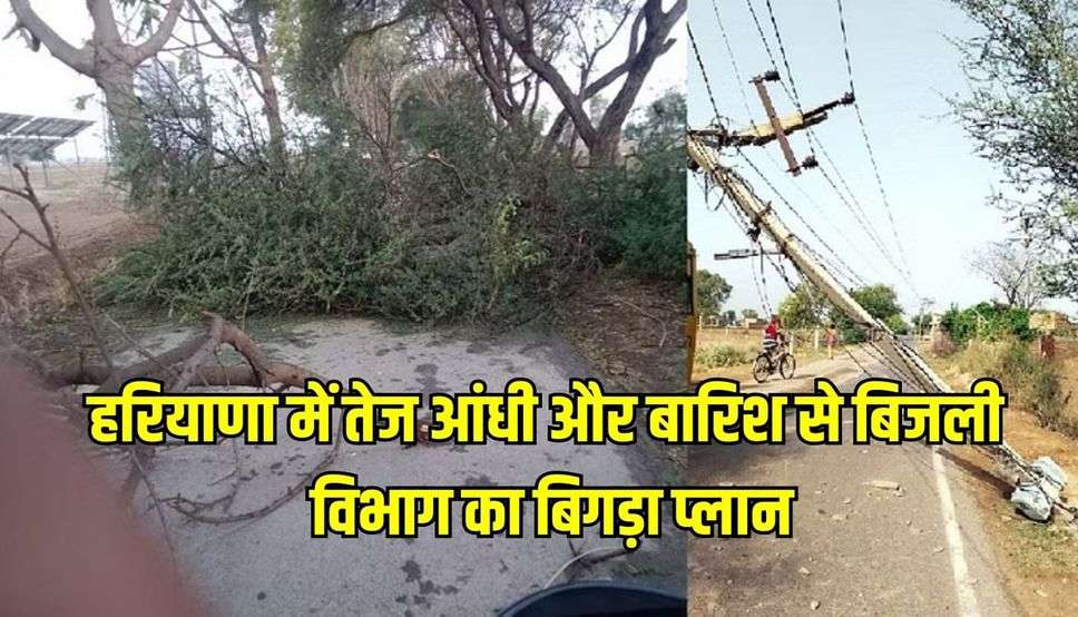 हरियाणा में तेज आंधी और बारिश से बिजली विभाग का बिगड़ा प्लान, सैंकड़ों खंभे टूटे, पेड़ गिरने से रुके रास्ते