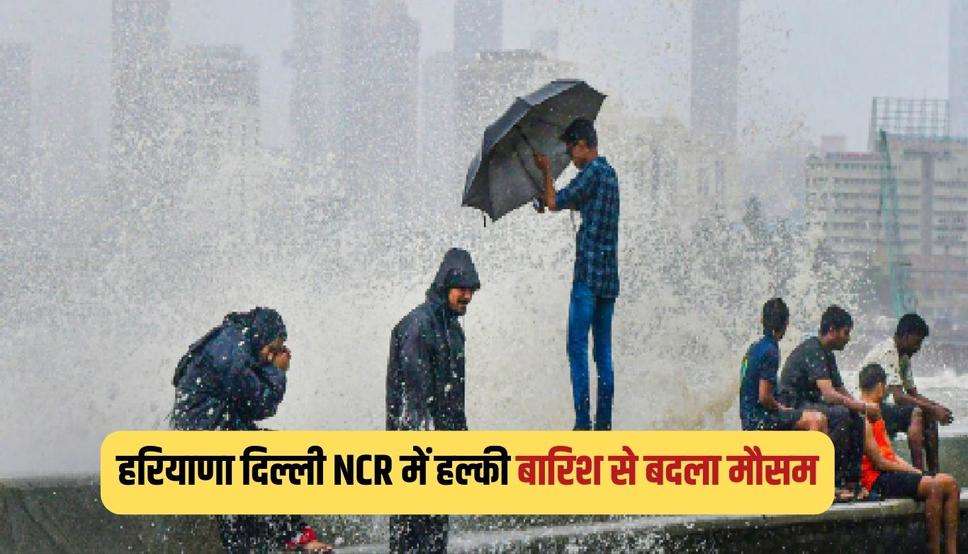 हरियाणा दिल्ली NCR में हल्की बारिश से बदला मौसम