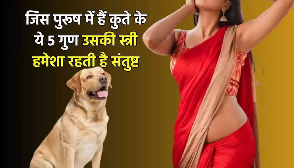 Chankya Niti: पत्नी को संतुष्ट और खुश रखने के लिए कुत्ते के होने चाहिए 5 गुण,  जानिये कैसे करेंगे काम