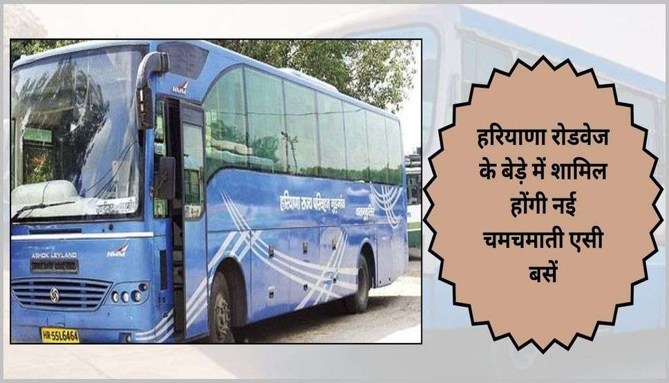  Haryana News: हरियाणा रोडवेज के बेड़े में शामिल होंगी नई चमचमाती एसी बसें, ये है विभाग का प्लान 