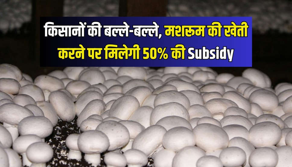 किसानों की बल्ले-बल्ले, मशरूम की खेती करने पर मिलेगी 50% की Subsidy