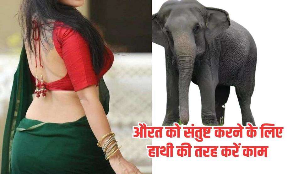  Chanakya Niti: औरत को संतुष्ट करने के लिए हाथी की तरह करें काम, एक झटके में हो जाएगी खुश​​​​​​​