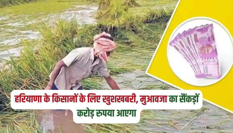 हरियाणा के किसानों के लिए खुशखबरी, मुआवजा का सैंकड़ों करोड़ रुपया आएगा