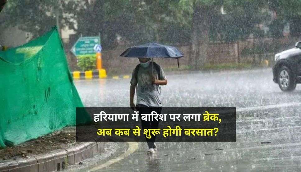 Haryana Weather : हरियाणा में बारिश पर लगा ब्रेक, अब कब से शुरू होगी बरसात? जानें मौसम विभाग का पूर्वानुमान