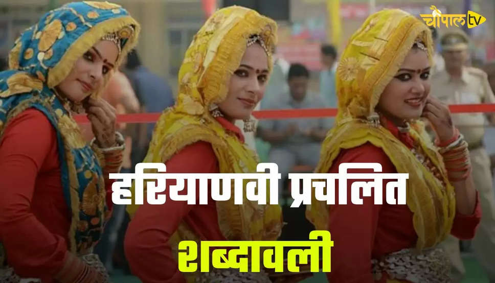 हरियाणवी प्रचलित शब्दावली 