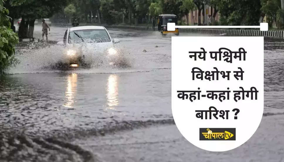  Haryana Weather Alert: हरियाणा में नया पश्चिमी विक्षोभ होगा सक्रिय, इन इलाकों में होगी झमाझम बारिश