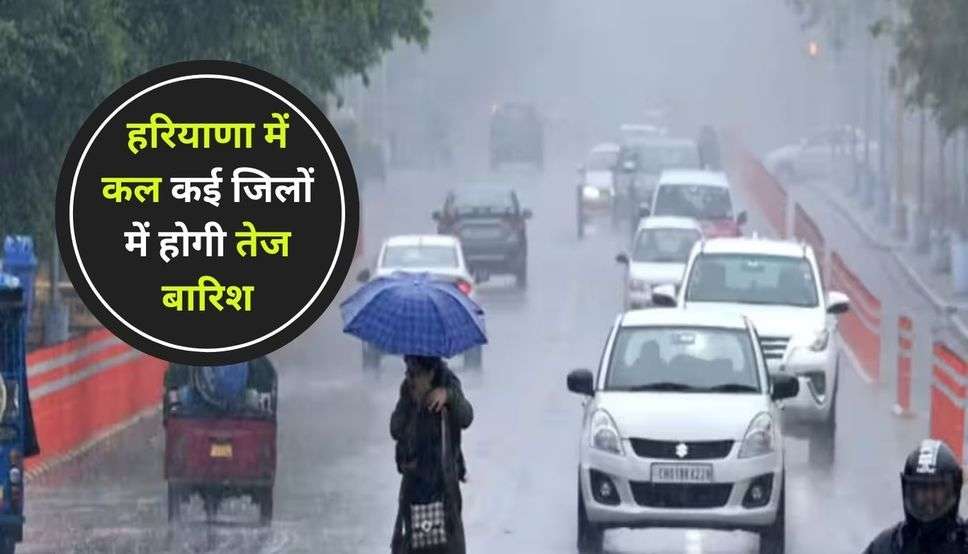 Haryana Weather Update: हरियाणा में कल कई जिलों में होगी तेज बारिश, मौसम विभाग ने जारी किया अलर्ट, देखें पूर्वानुमान  