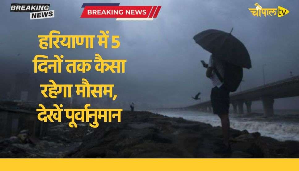 Haryana Weather Alert: हरियाणा में 5 दिनों तक कैसा रहेगा मौसम, देखिये कृषि मौसम विज्ञान विभाग का पूर्वानुमान