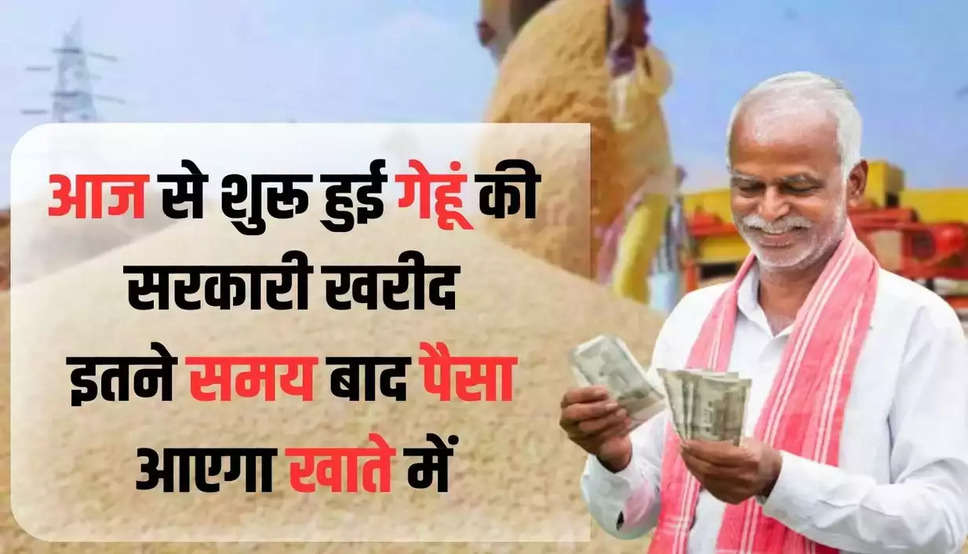 Haryana News: हरियाणा में आज से शुरू हुई गेहूं की सरकारी खरीद, इतनी देर में पैसा आएगा खाते में
