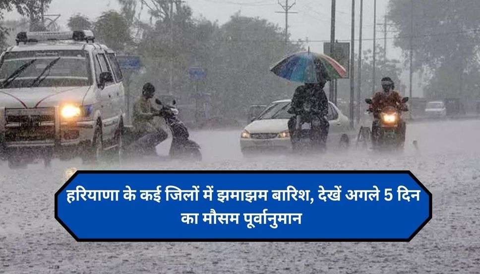  Haryana Weather Alert: हरियाणा के कई जिलों में झमाझम बारिश, देखें अगले 5 दिन का मौसम पूर्वानुमान 