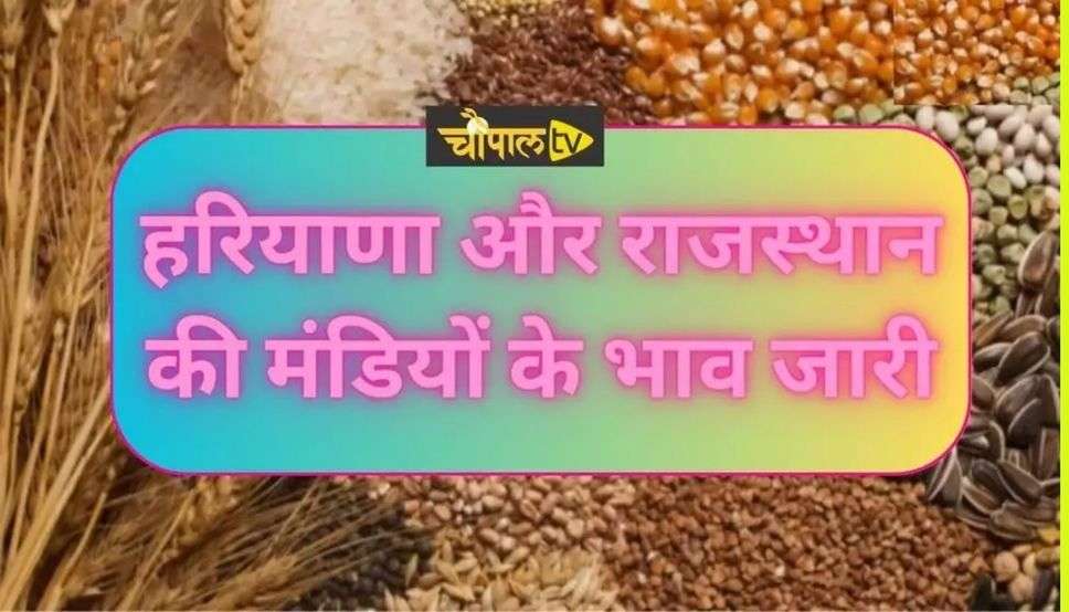 Mandi Bhav 14 September 2023: हरियाणा और राजस्थान की मंडियों के भाव जारी, एक क्लिक से देखें सभी फसलों के दाम 